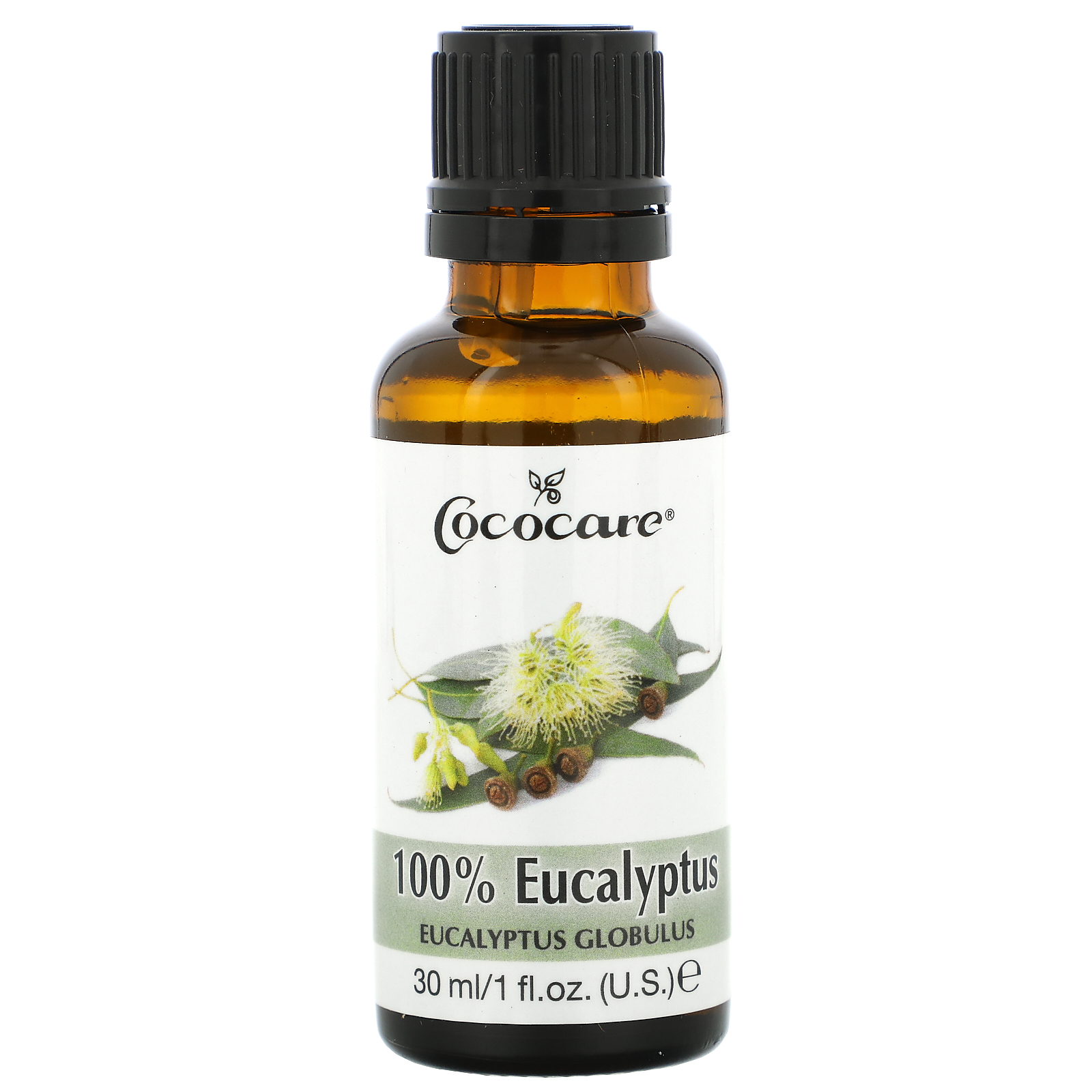 Cococare Eucalyptus Oil 1 Oz Iherb