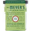 Mrs. Meyers Clean Day, 香薰大豆蜡烛,爱荷华松香味,4.9盎司(140克)