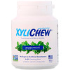 Xylichew Gum, 桦木木糖醇增甜,薄荷,60粒,2.75盎司(78克)