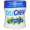 Xylichew Gum, 桦木木糖醇增甜,薄荷,60粒,2.75盎司(78克)